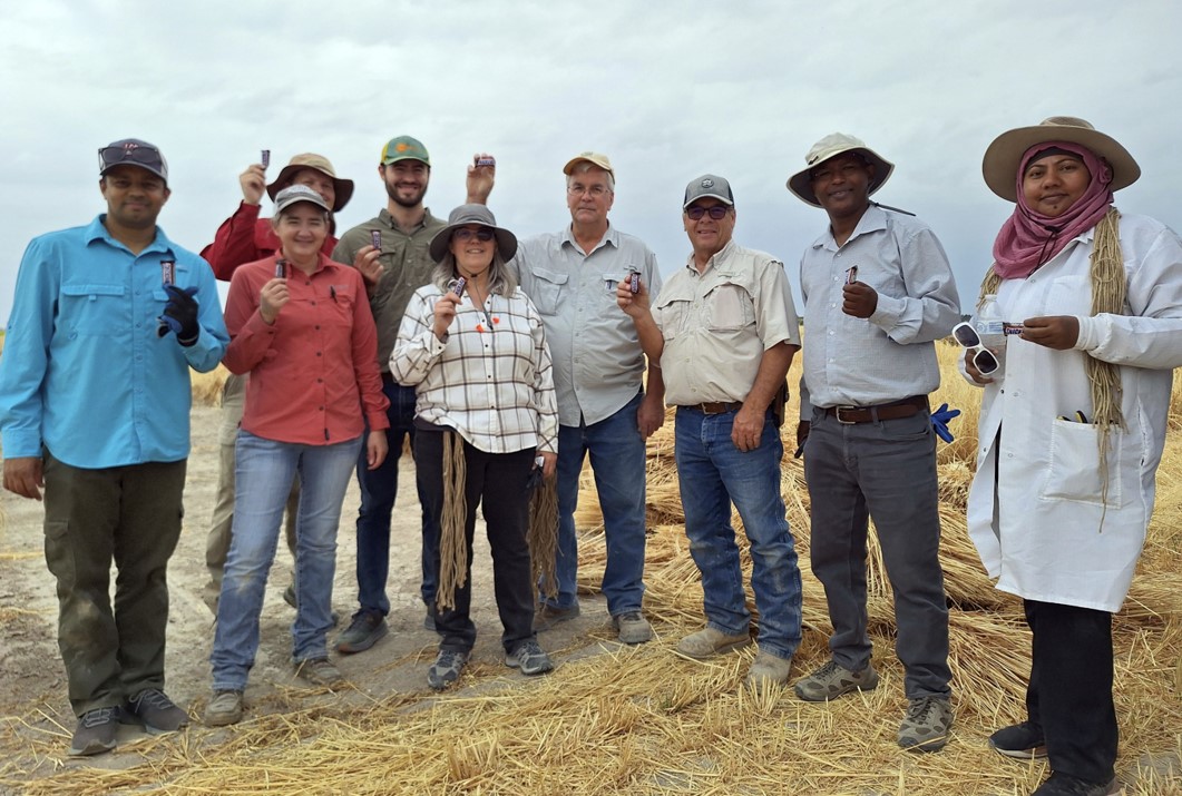 team of research in field