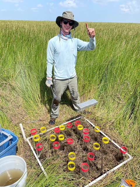 LSU Researcher Robert Feder gathers samples from Barataria Bay