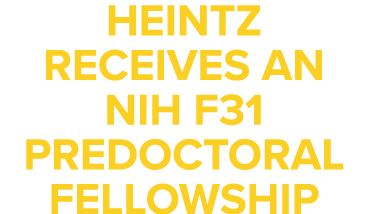 Heintz Receives an NIH F31 Predoctoral Fellowship