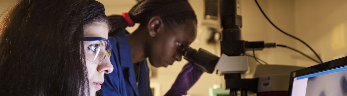 two students in a lab conducting an experiment