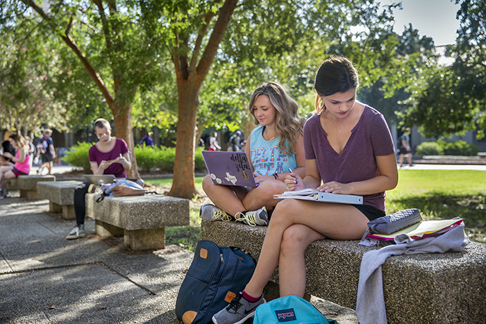 students sitting in quad