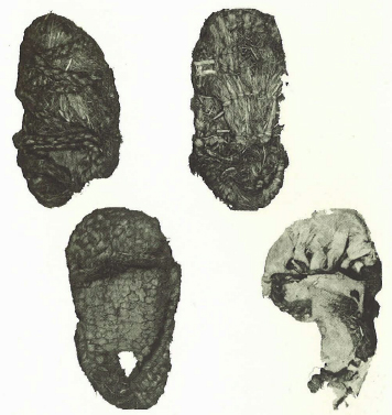 Footwear specimens